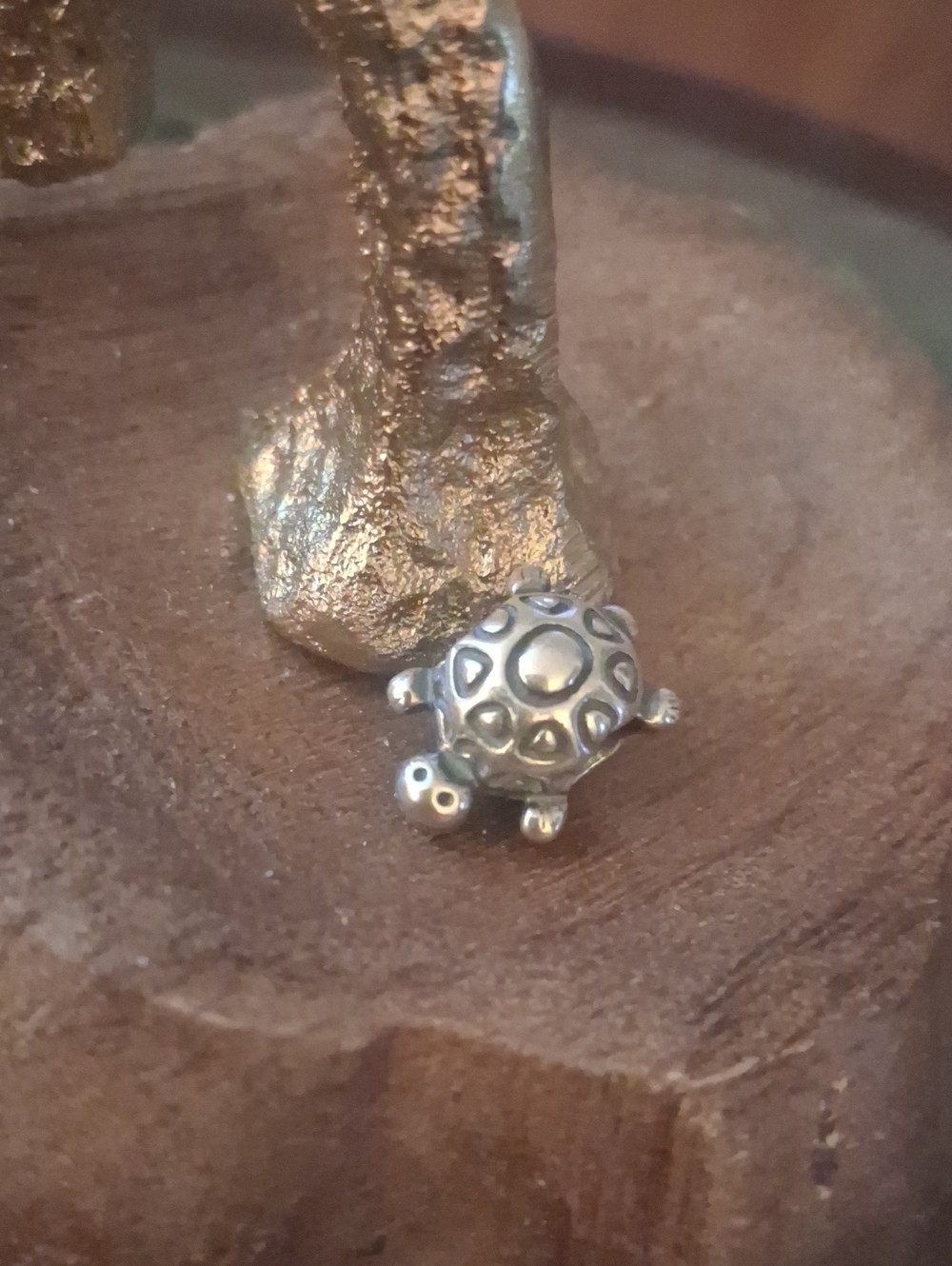 Pandora Retired Silver Turtle Terrarium Accent